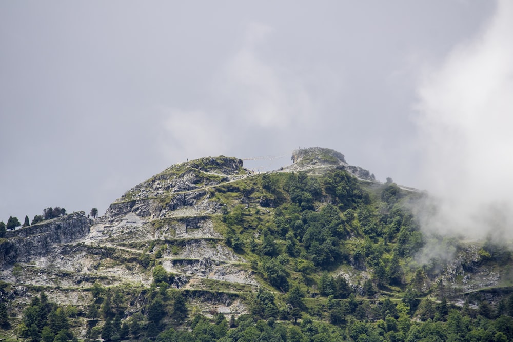 a mountain with trees on it