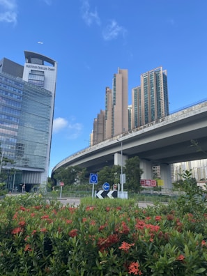 A scenic view of Tsuen Wan district where our office is located.