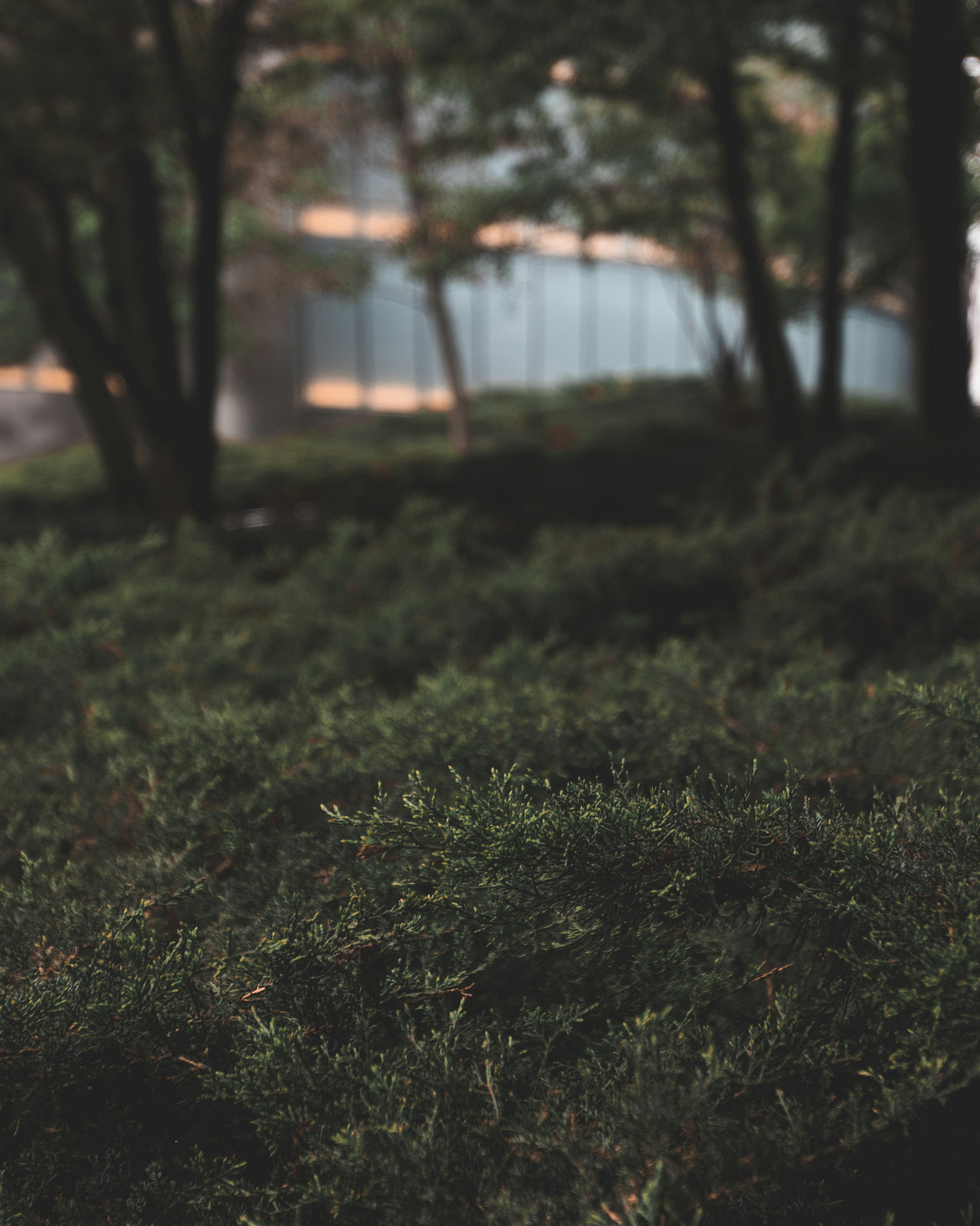 Photo by yandura_photos