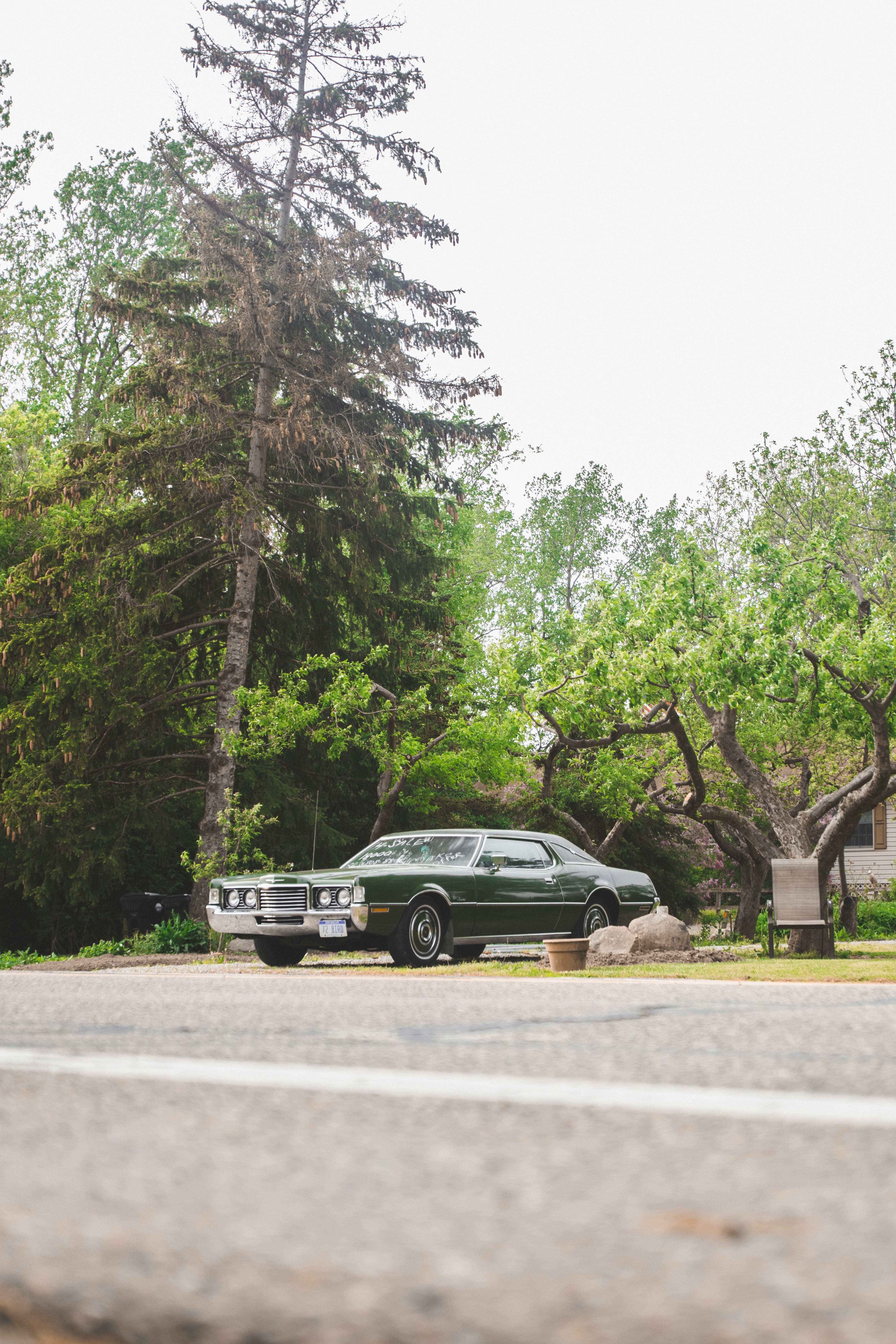 Photo by yandura_photos