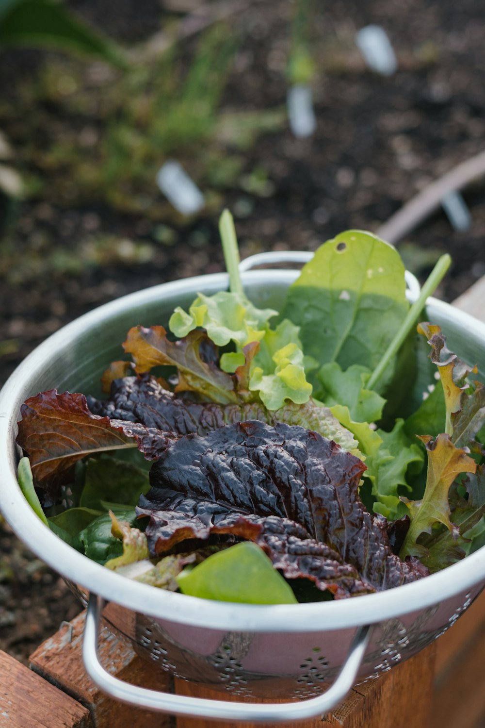 a bowl of food