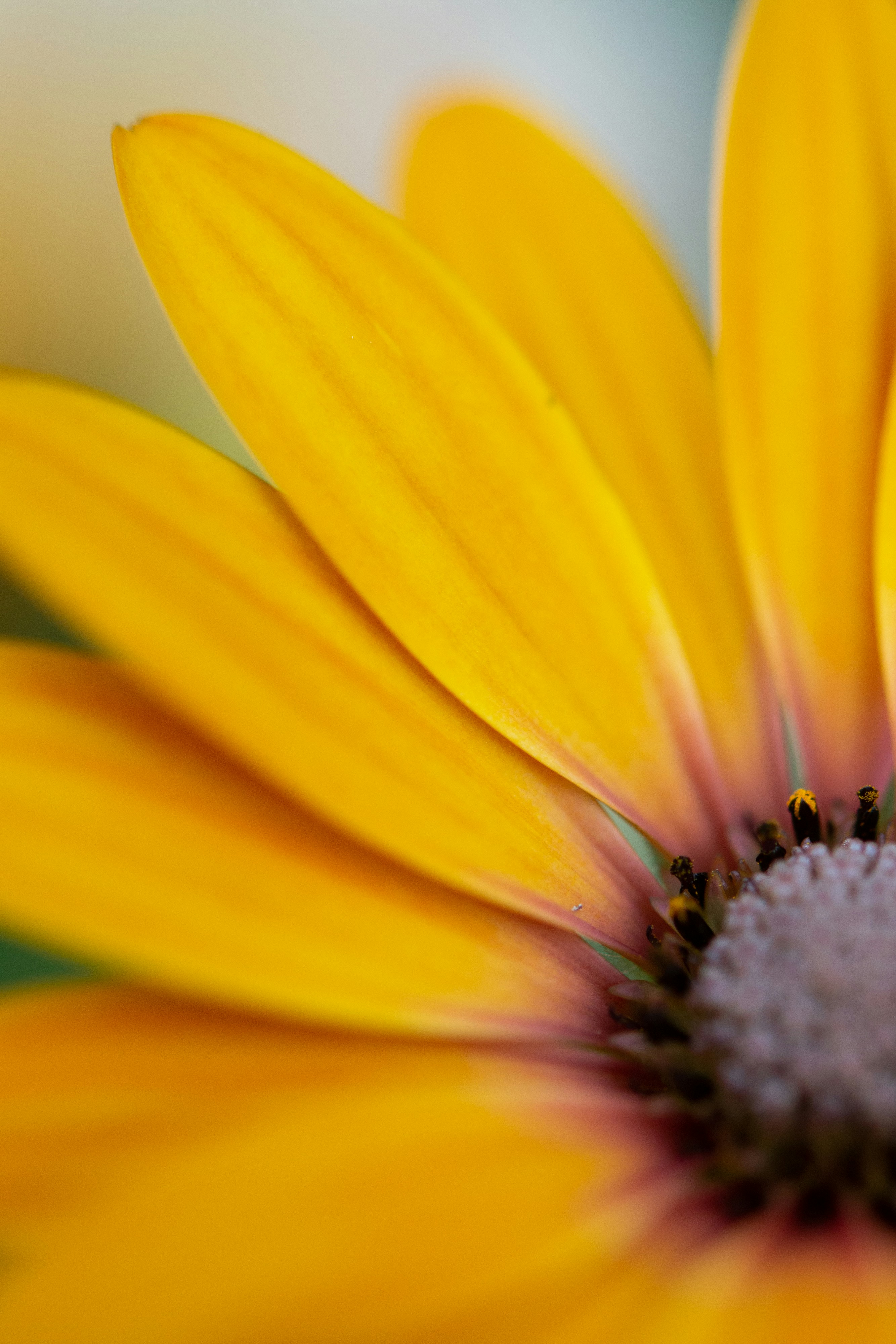 Photo by missmeg_mac