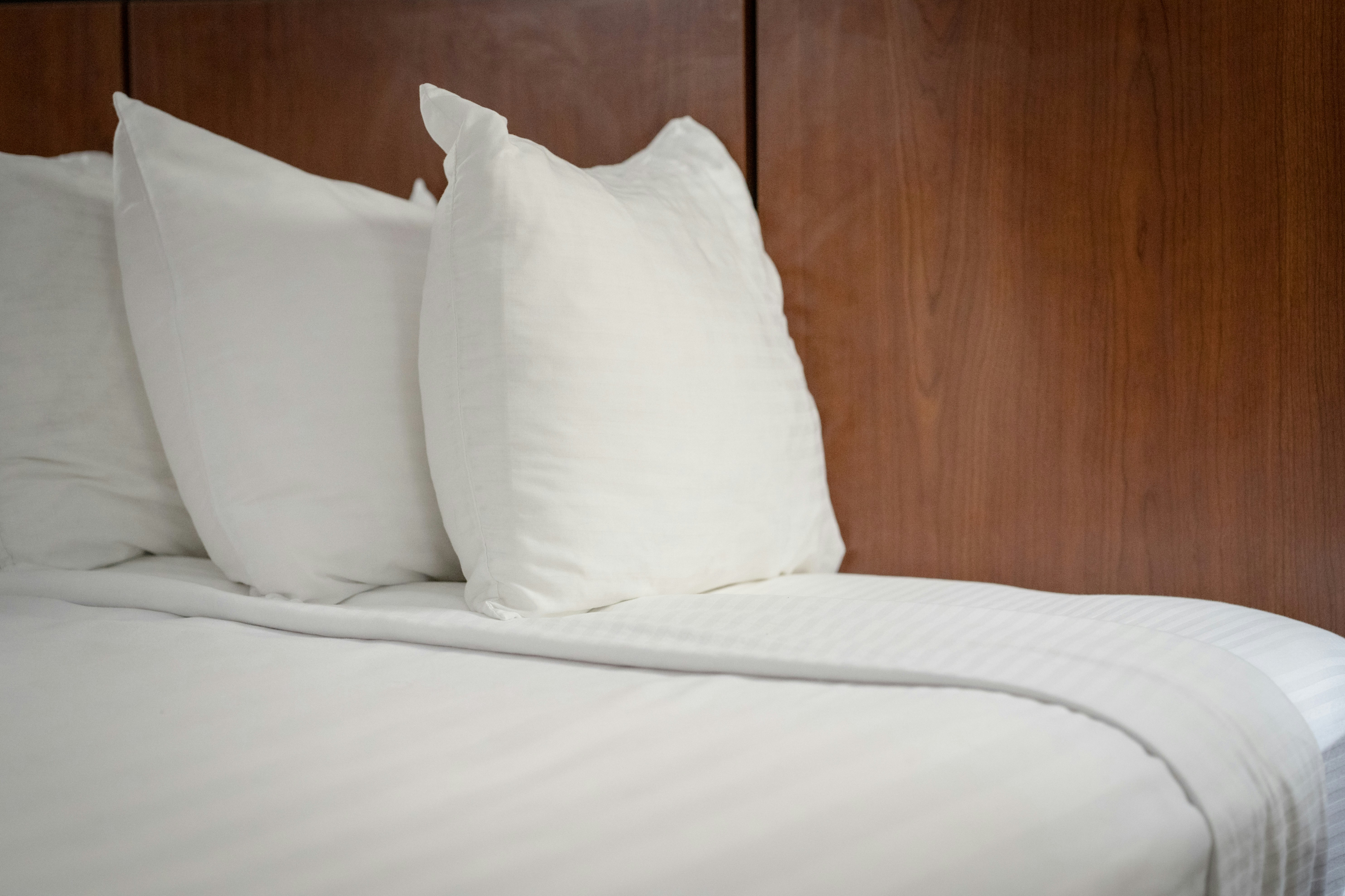 Photo by abhinav1bhardwaj