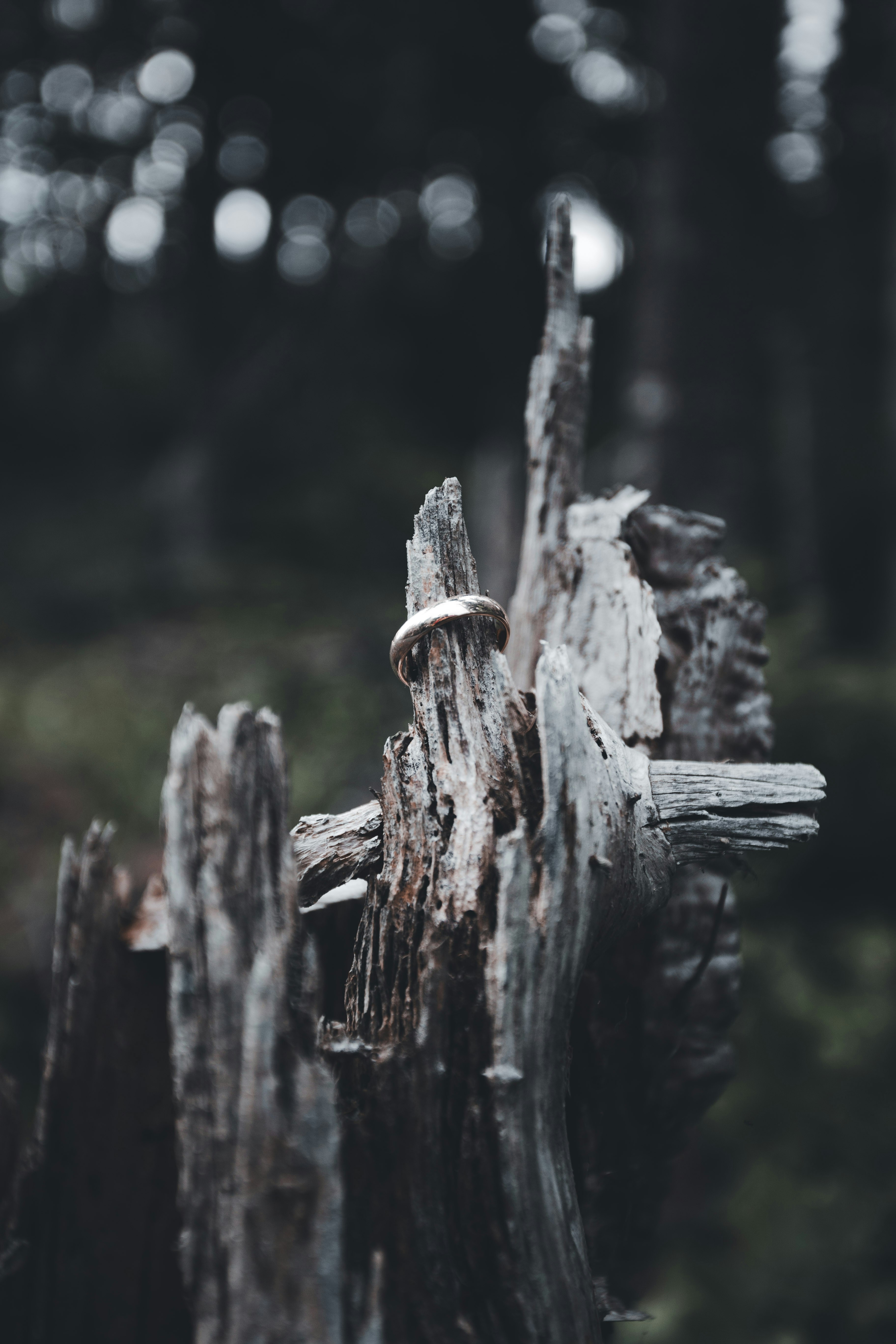 Photo by introspectivedsgn