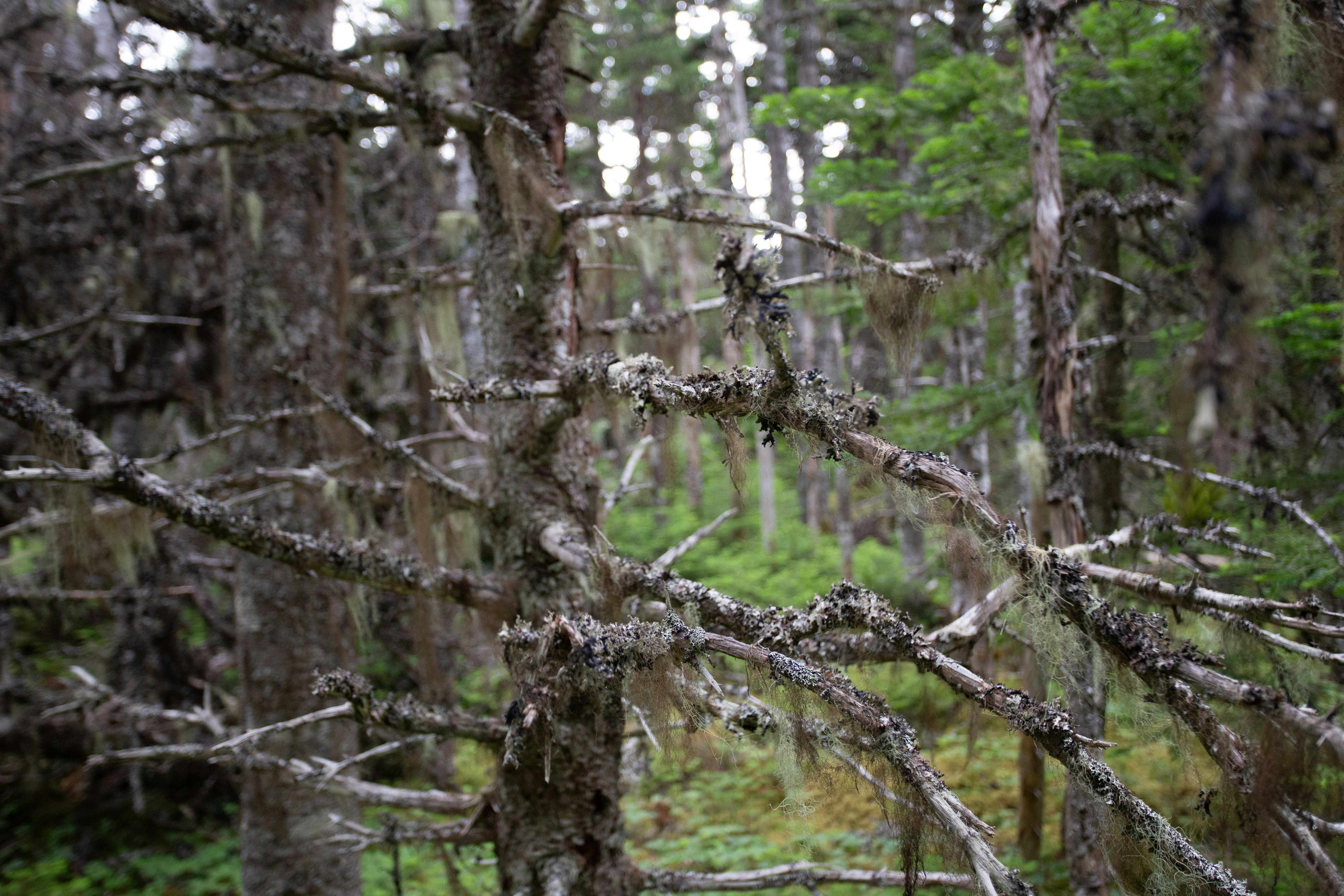 Photo by introspectivedsgn