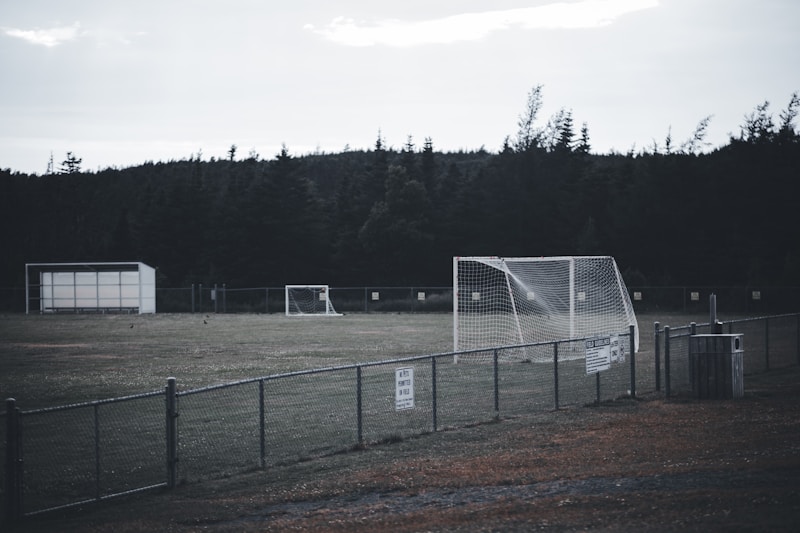 Goalsetting