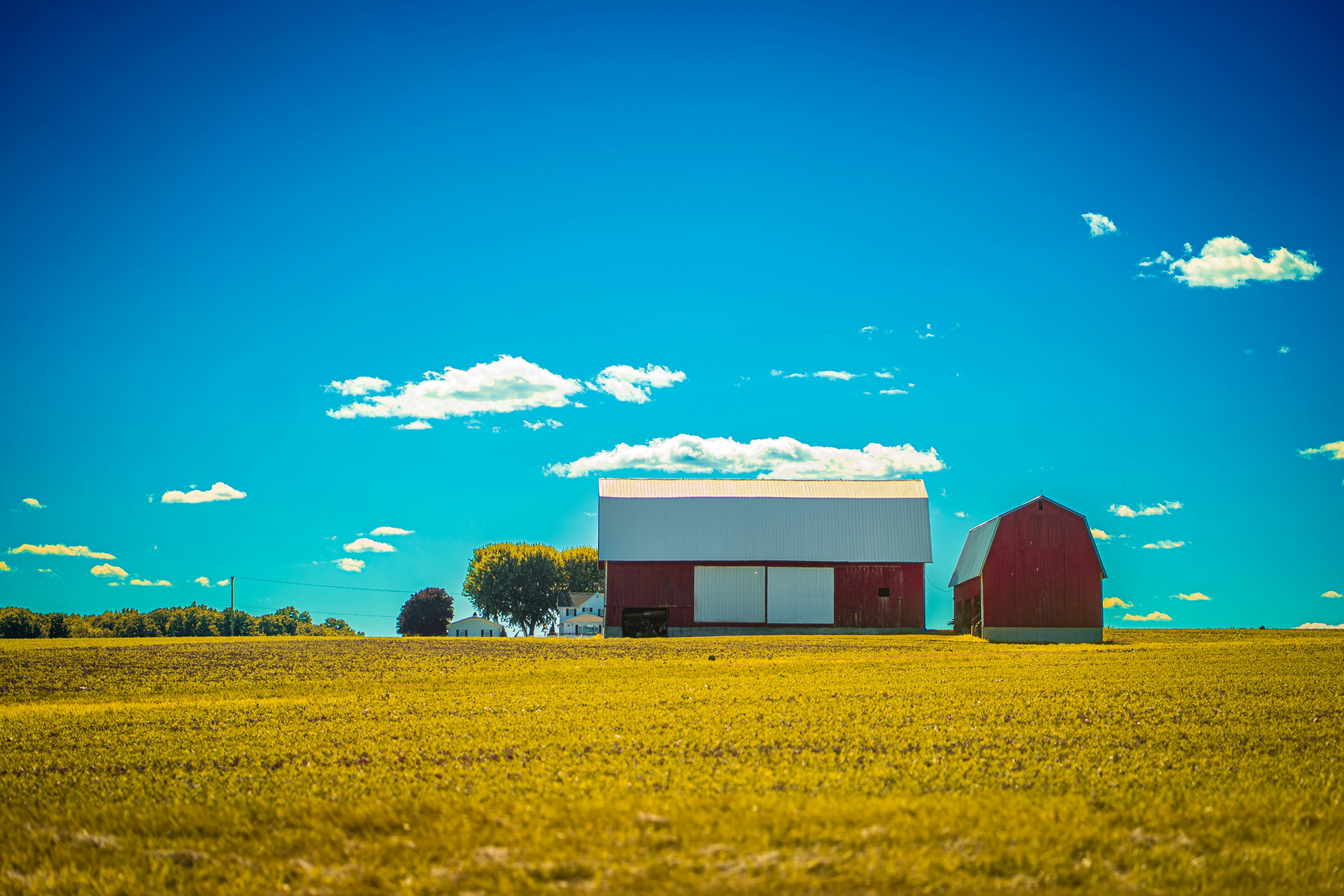 Photo by abhinav1bhardwaj