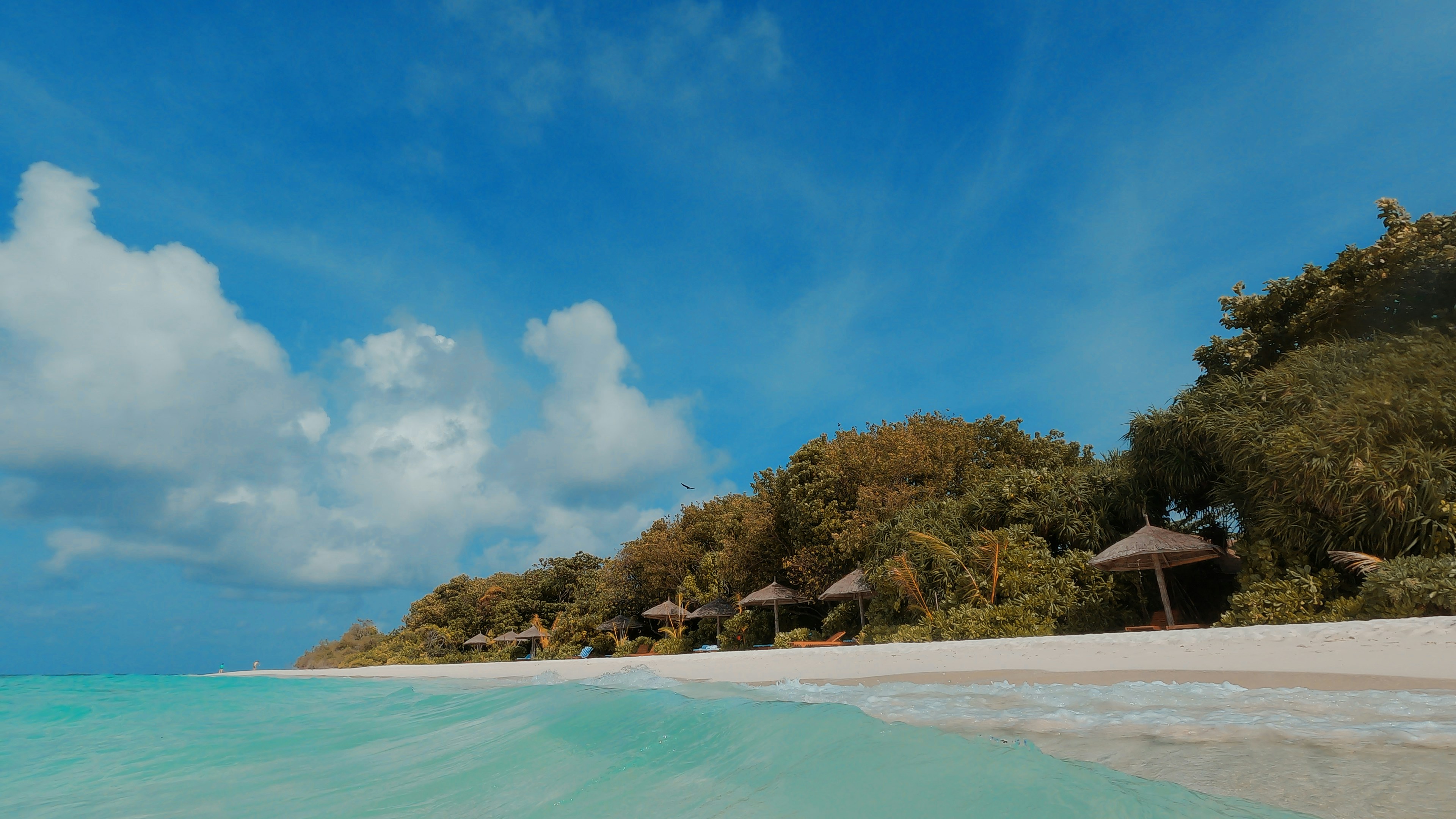 a beach with huts and trees