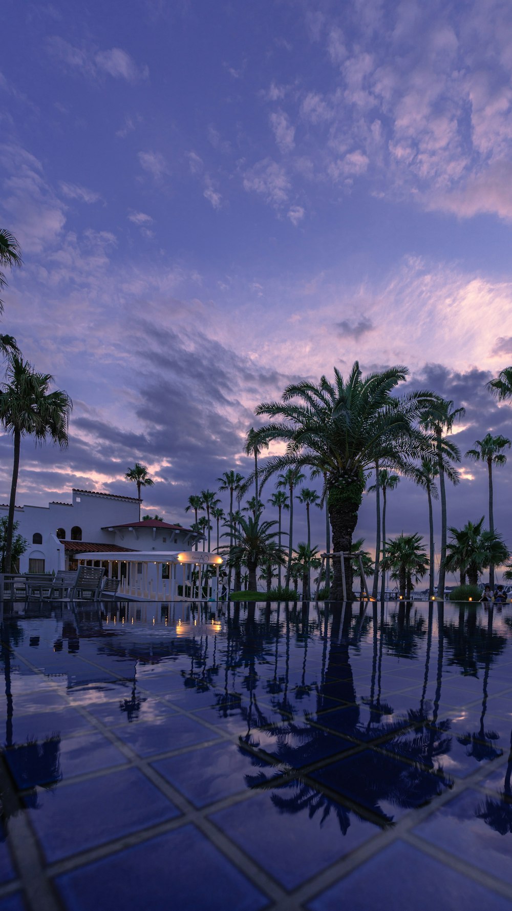 a pool with palm trees and a building in the background