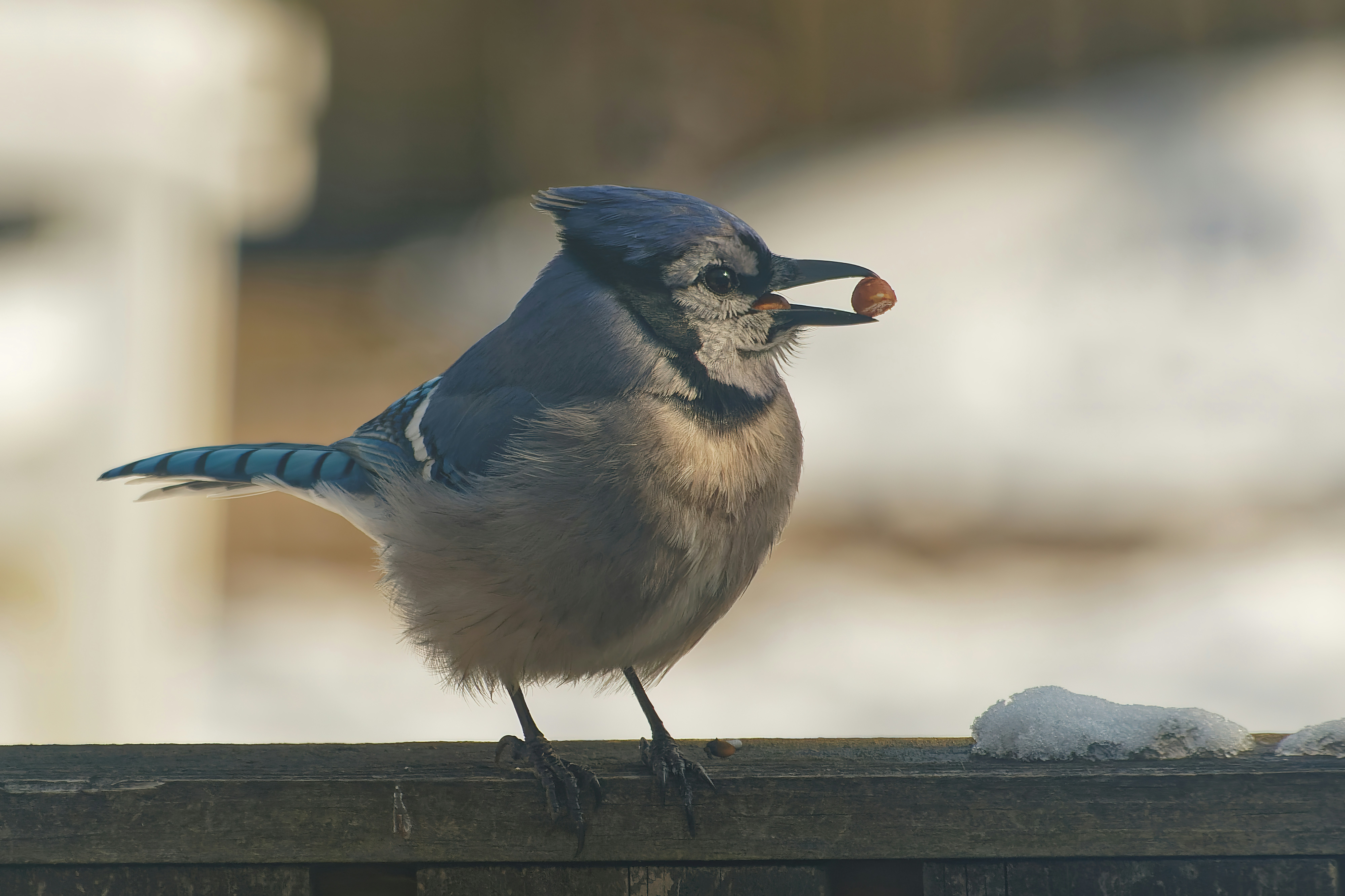 Lab Experiments: Testing Quantum Navigation (image credits: unsplash)