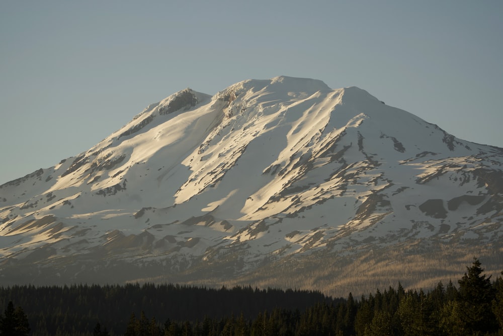 a snowy mountain with trees below