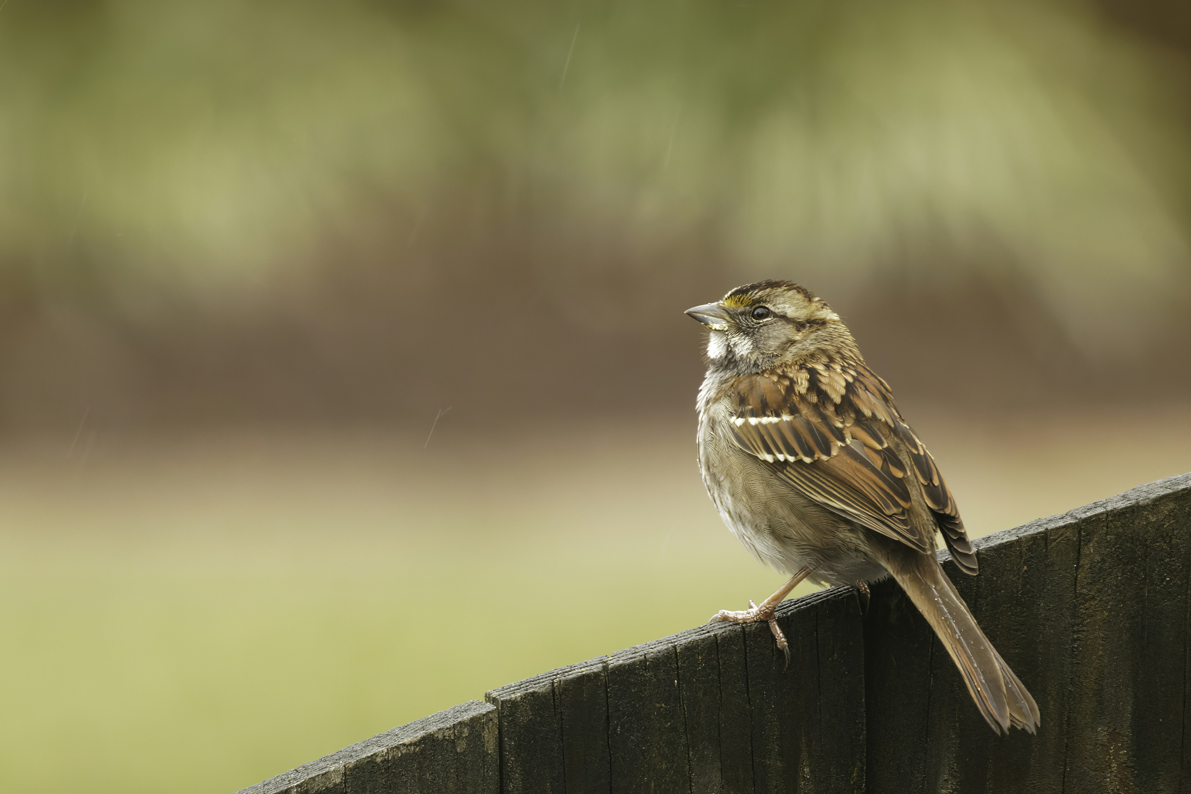 Photo by marshall21663