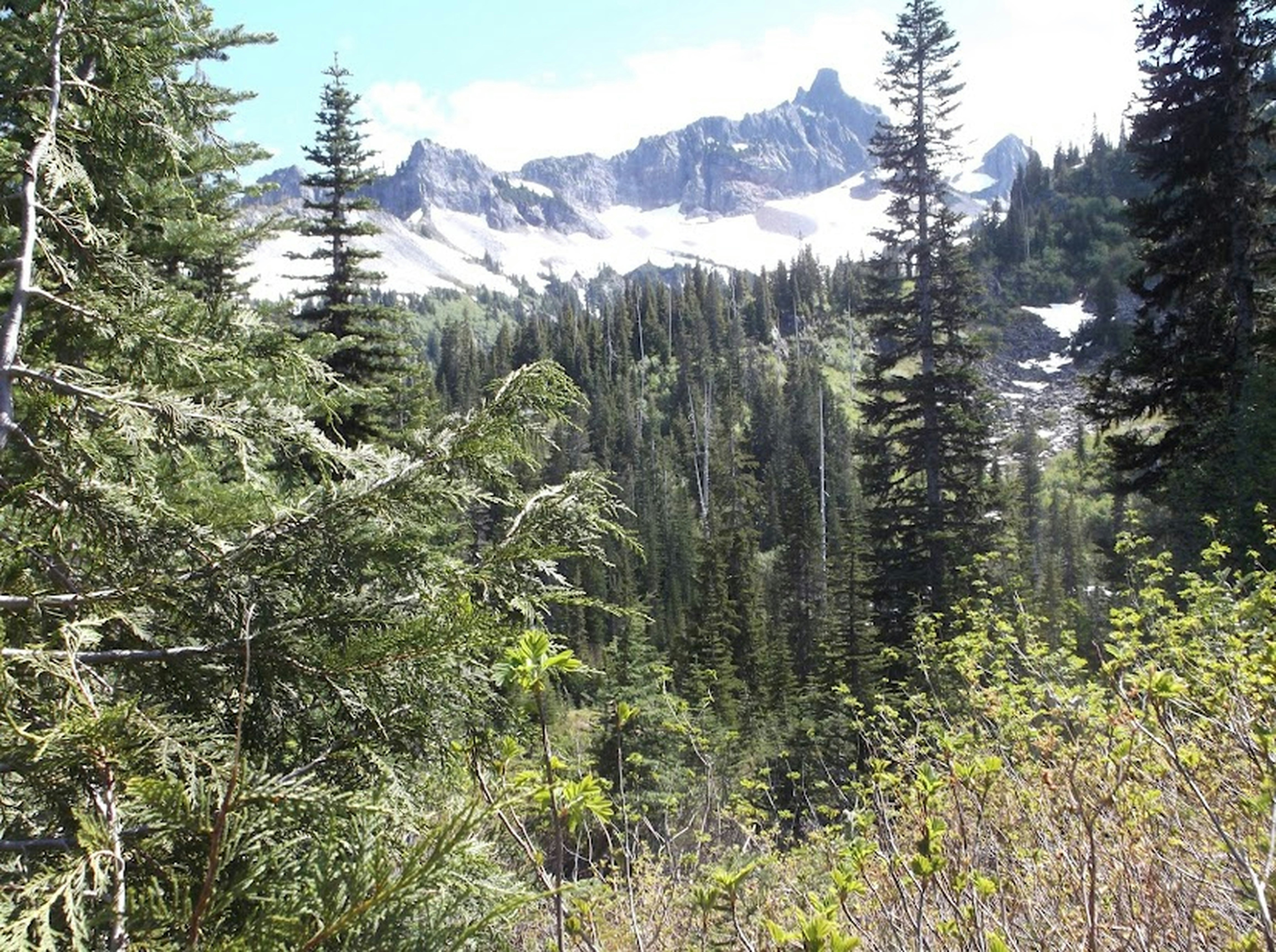 Photo by prphotography262