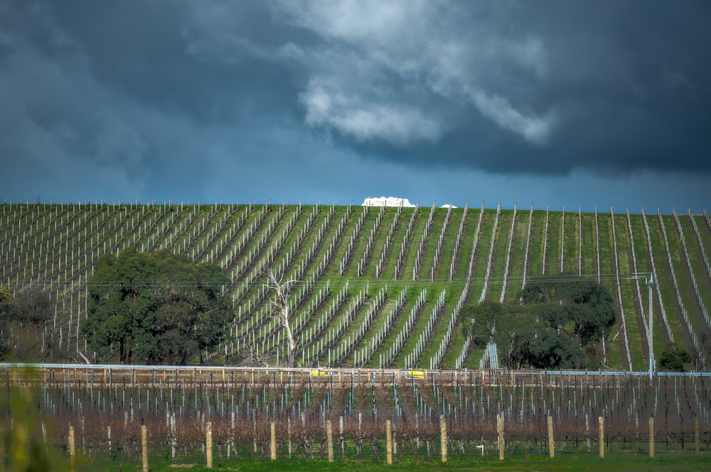 una grande collina verde con alberi e uno specchio d'acqua sottostante