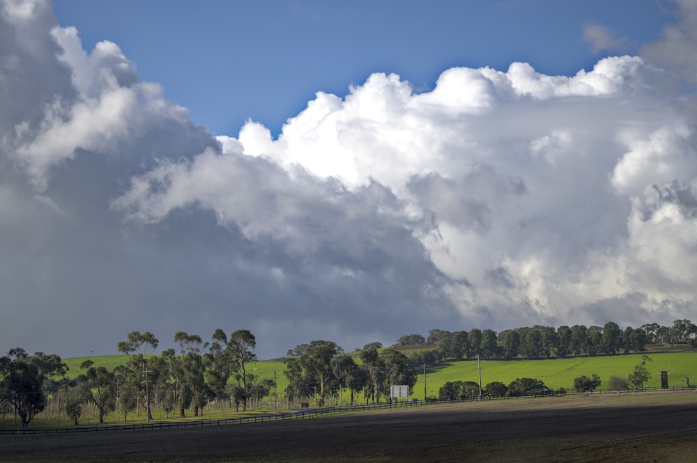 a large field with trees and a cloudy sky