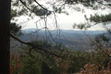 Mountain view from the balcony framed by pine branches and early morning mist.