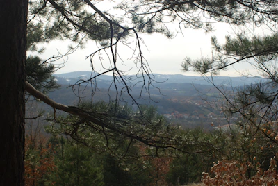 Mountain view from the balcony framed by pine branches and early morning mist.