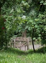 A wooden picket fence, partially open, surrounded by lush greenery. Trees and bushes with dense foliage, featuring varying shades of green, provide a natural backdrop. Small flowers are scattered on the grassy ground, adding spots of color.