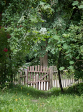 A freshly installed wooden fence surrounding a lush backyard garden.
