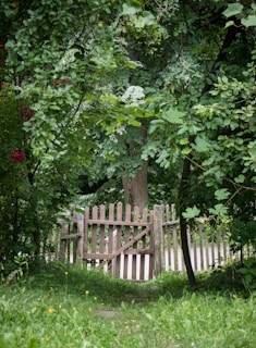 A wooden picket fence, partially open, surrounded by lush greenery. Trees and bushes with dense foliage, featuring varying shades of green, provide a natural backdrop. Small flowers are scattered on the grassy ground, adding spots of color.