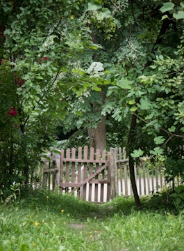 A sturdy wooden fence surrounding a lush green backyard.