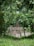 A wooden picket fence, partially open, surrounded by lush greenery. Trees and bushes with dense foliage, featuring varying shades of green, provide a natural backdrop. Small flowers are scattered on the grassy ground, adding spots of color.