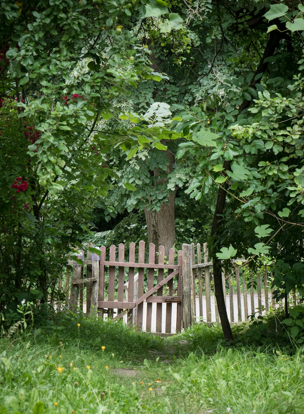 a wooden fence in a yard