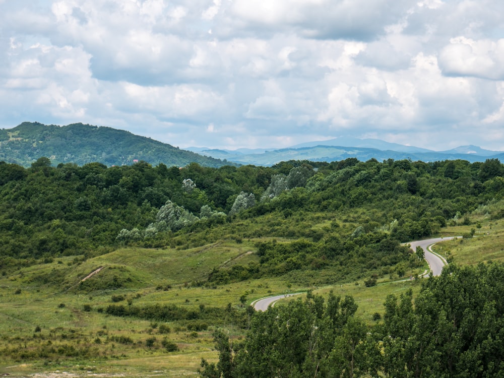 a landscape with trees and hills