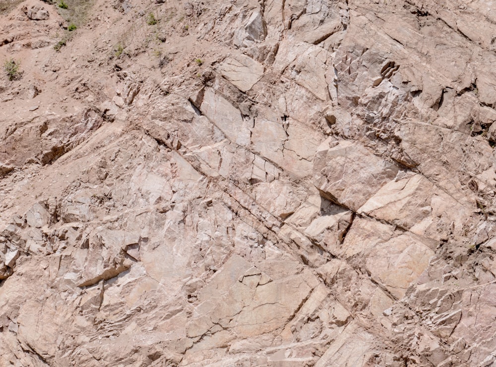 a close-up of a dry landscape