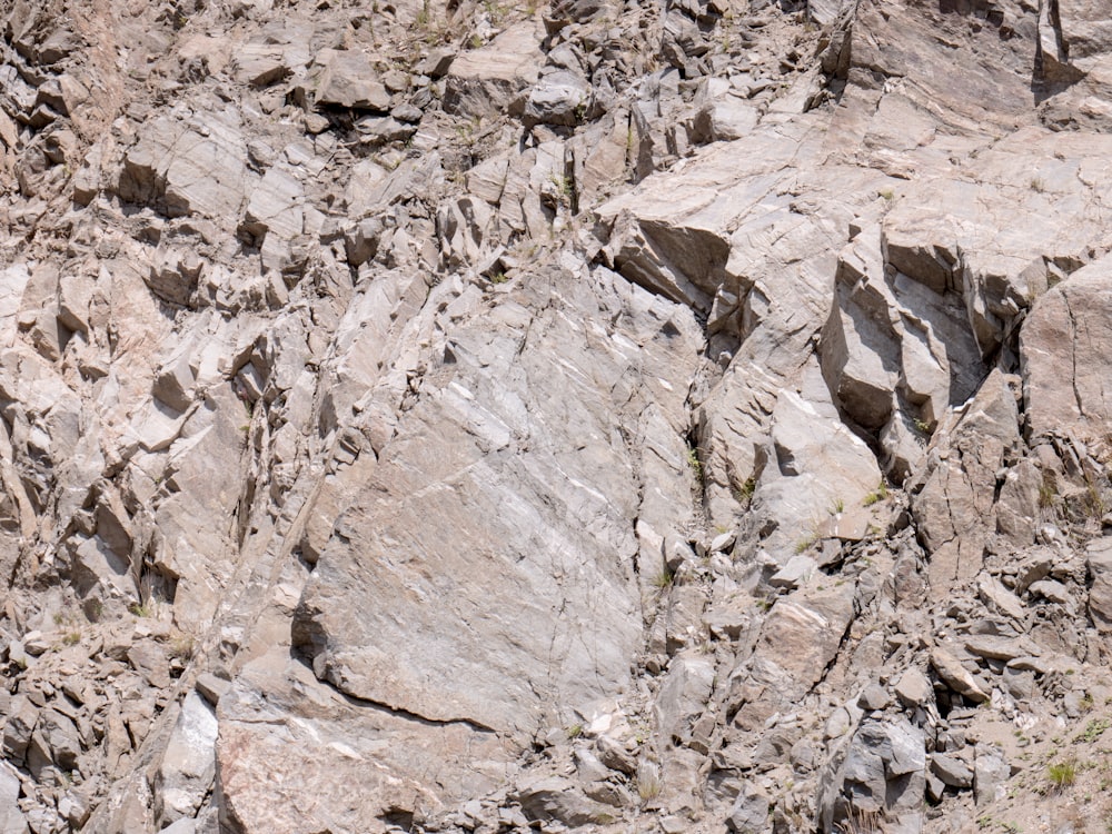 a rocky area with cracks