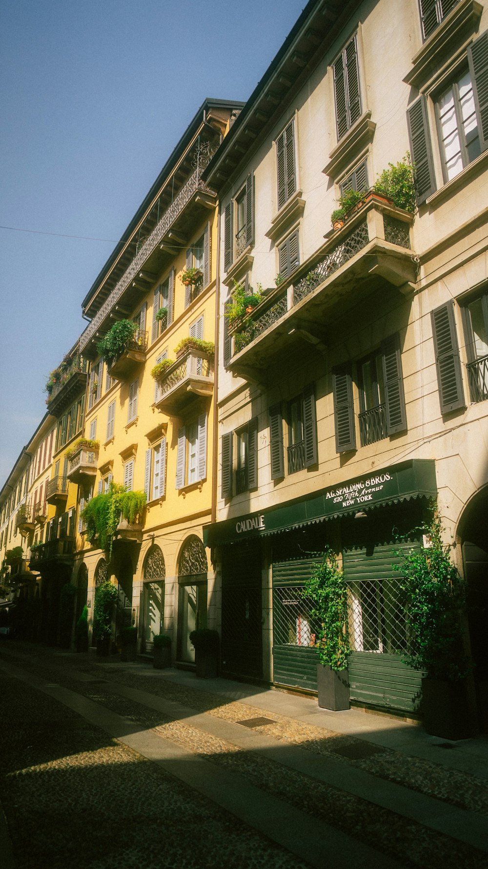 a row of buildings with plants on the windows