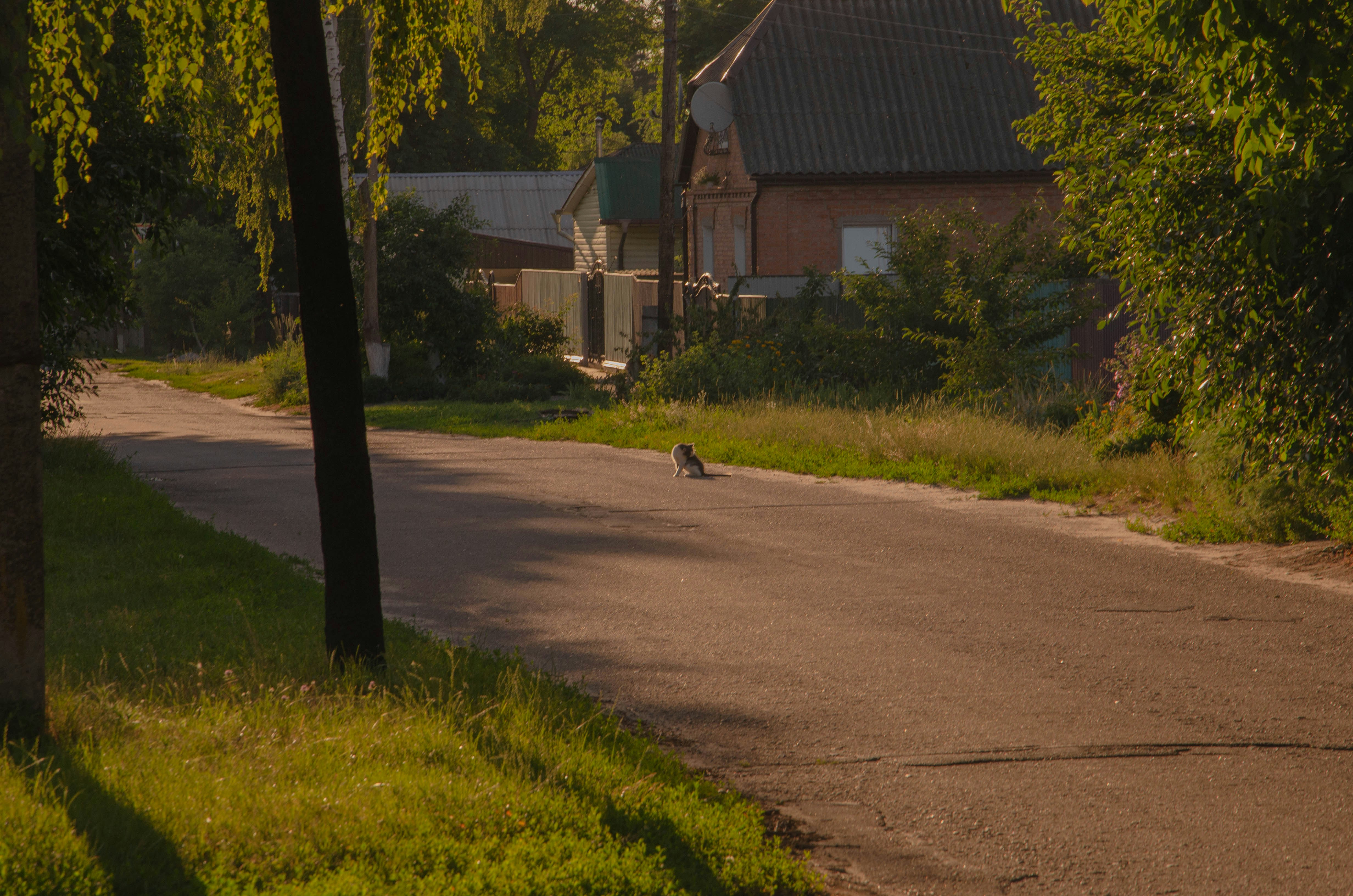 ... - photo 1