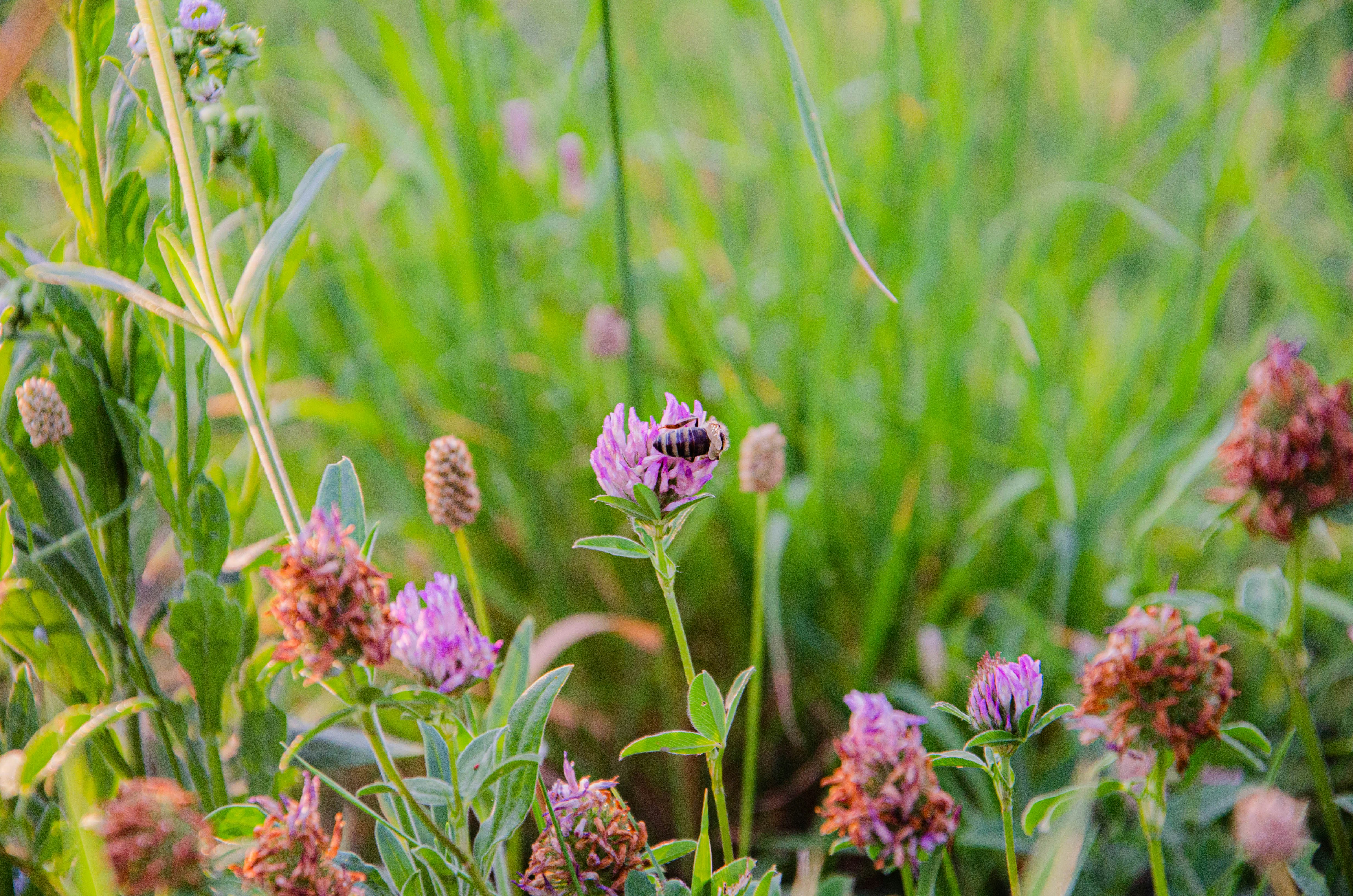 Photo by _florens_spenser_