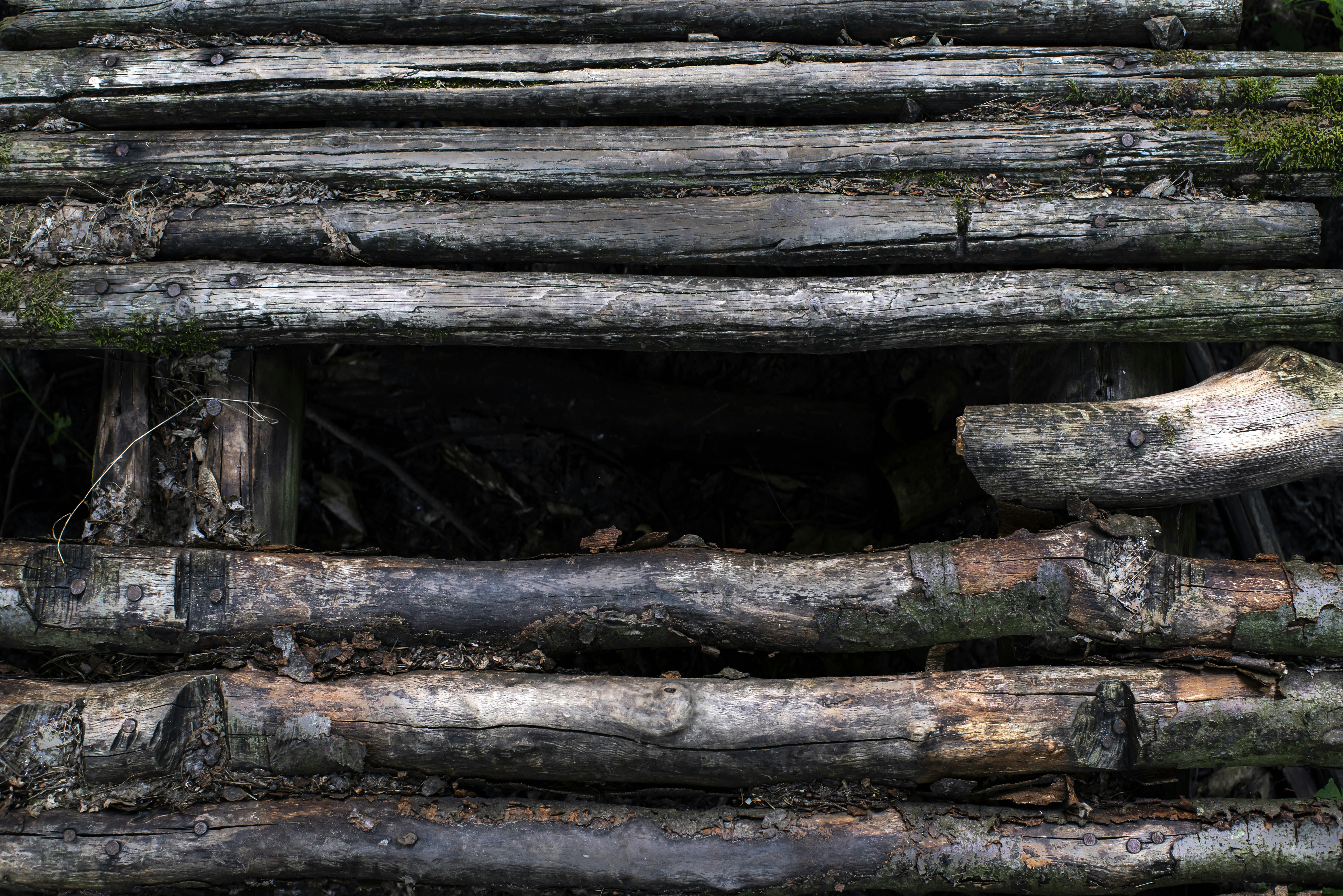 a close-up of a wooden wall