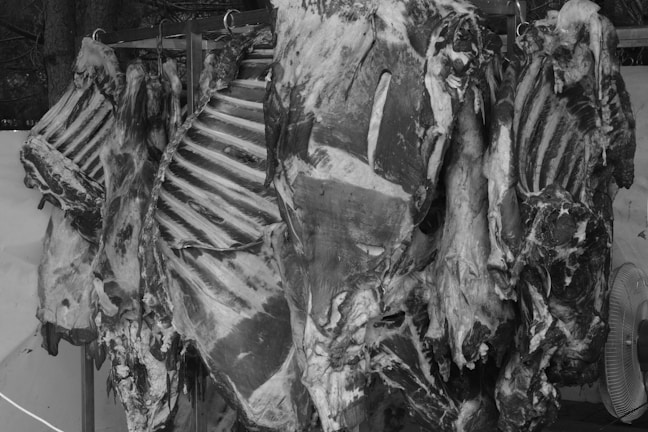 Several large cuts of meat hang on hooks. The meat appears raw, showing ribs and various textures. The background is a solid shade, and there's a fan visible on the right.