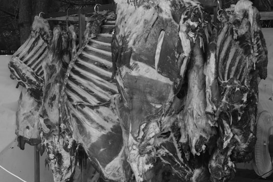 Several large cuts of meat hang on hooks. The meat appears raw, showing ribs and various textures. The background is a solid shade, and there's a fan visible on the right.