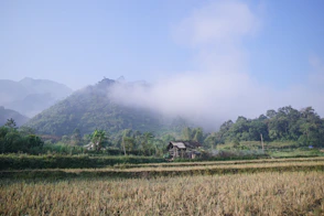 A field with a house in the middle of it