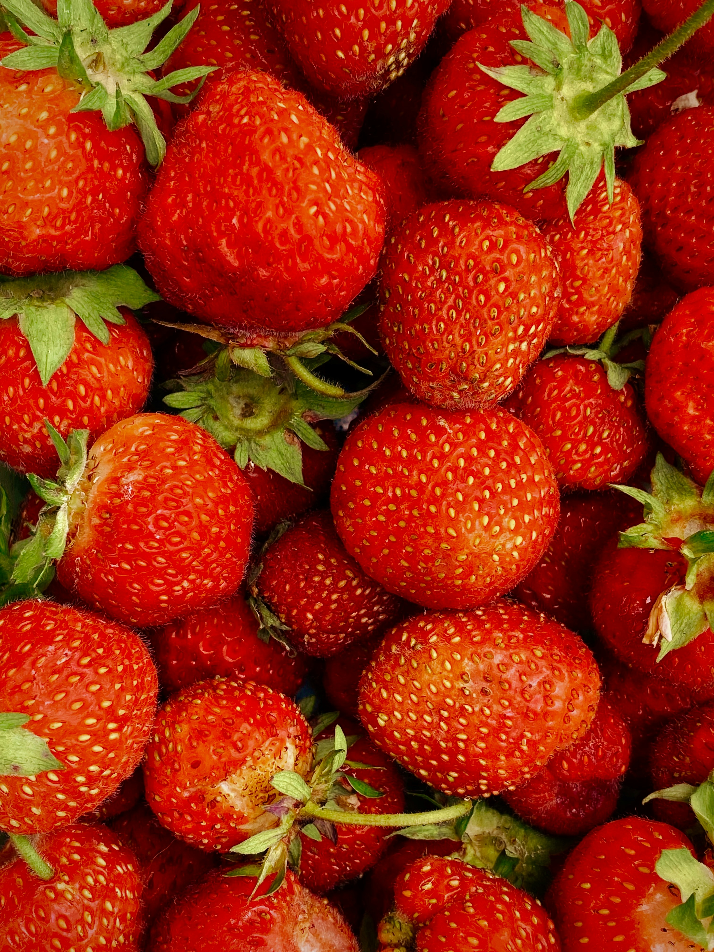 red strawberry wallpaper, wallpaper, 7 Manfaat Strawberry untuk Wanita yang Jarang Diketahui 2