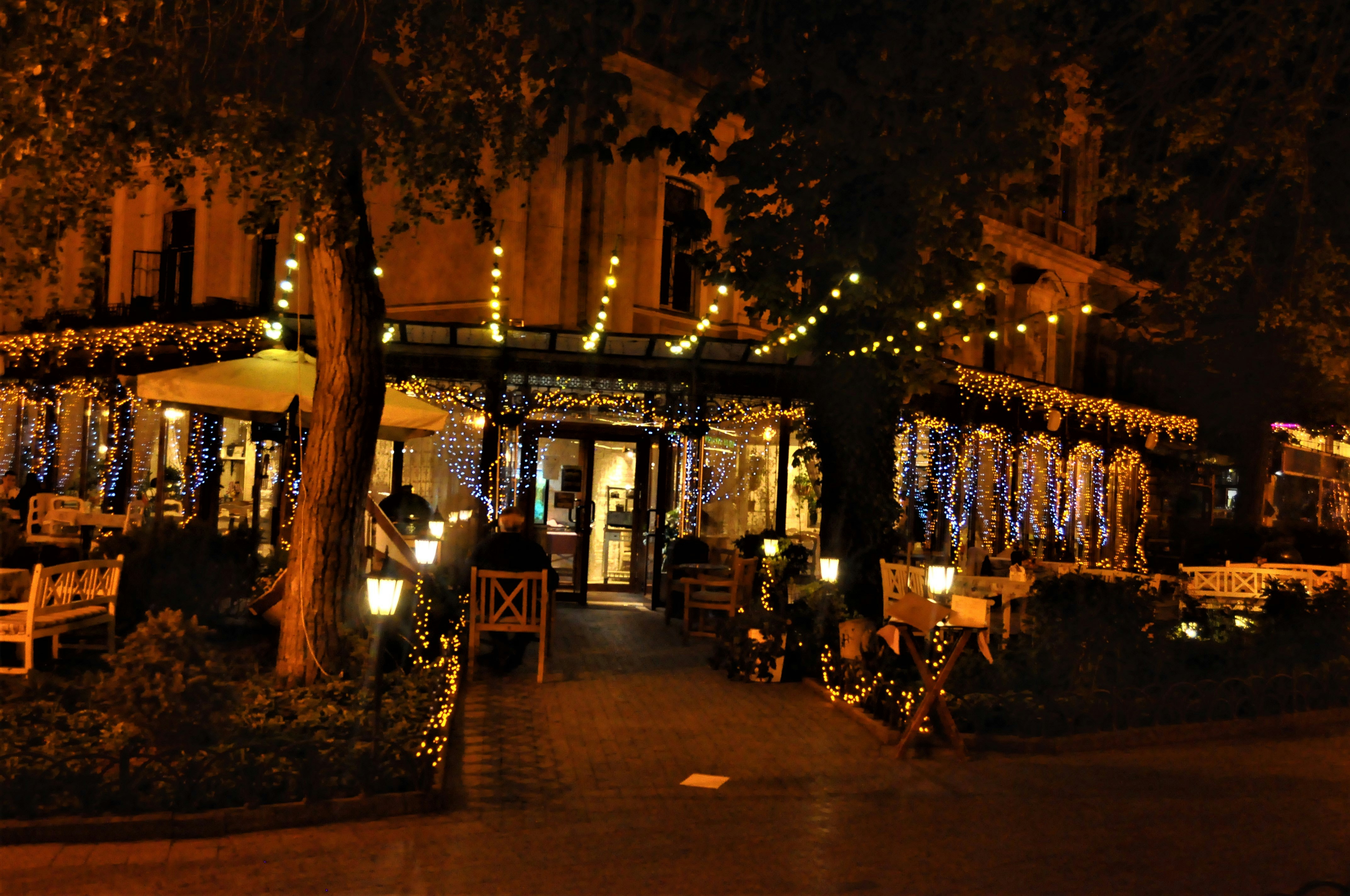 a street with trees and lights