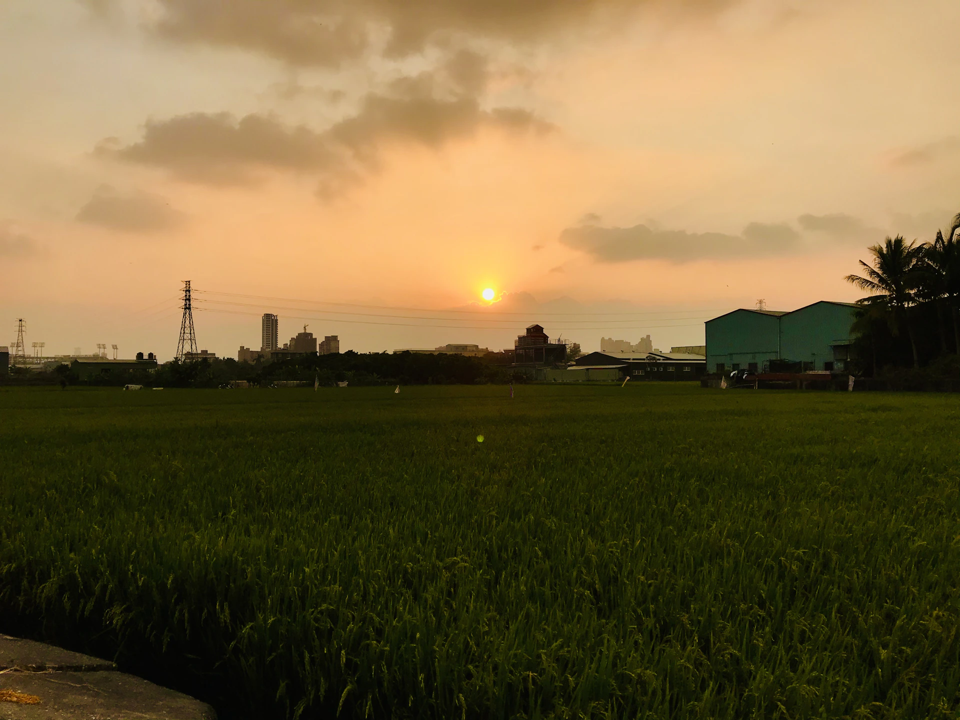 woman wearing yellow long-sleeved dress under white clouds and blue sky during daytime
