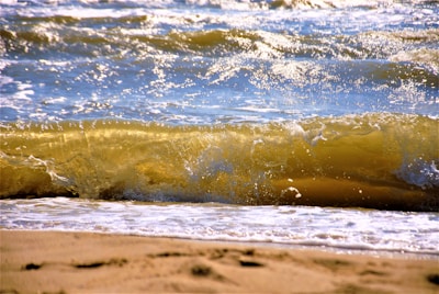 Close-up of vibrant ocean waves crashing, sprayed with golden sunlight.