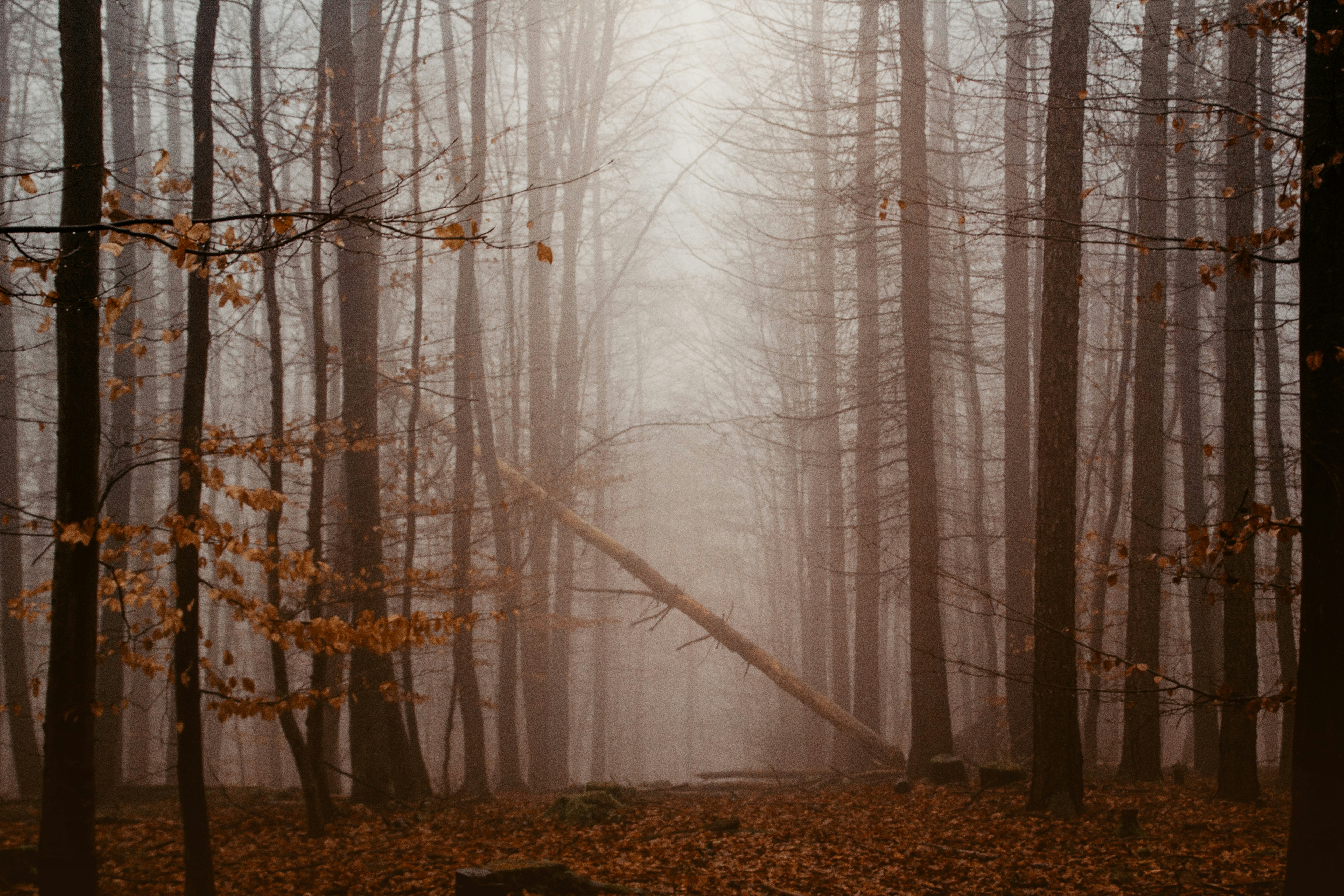 Photo by lashesunlimited