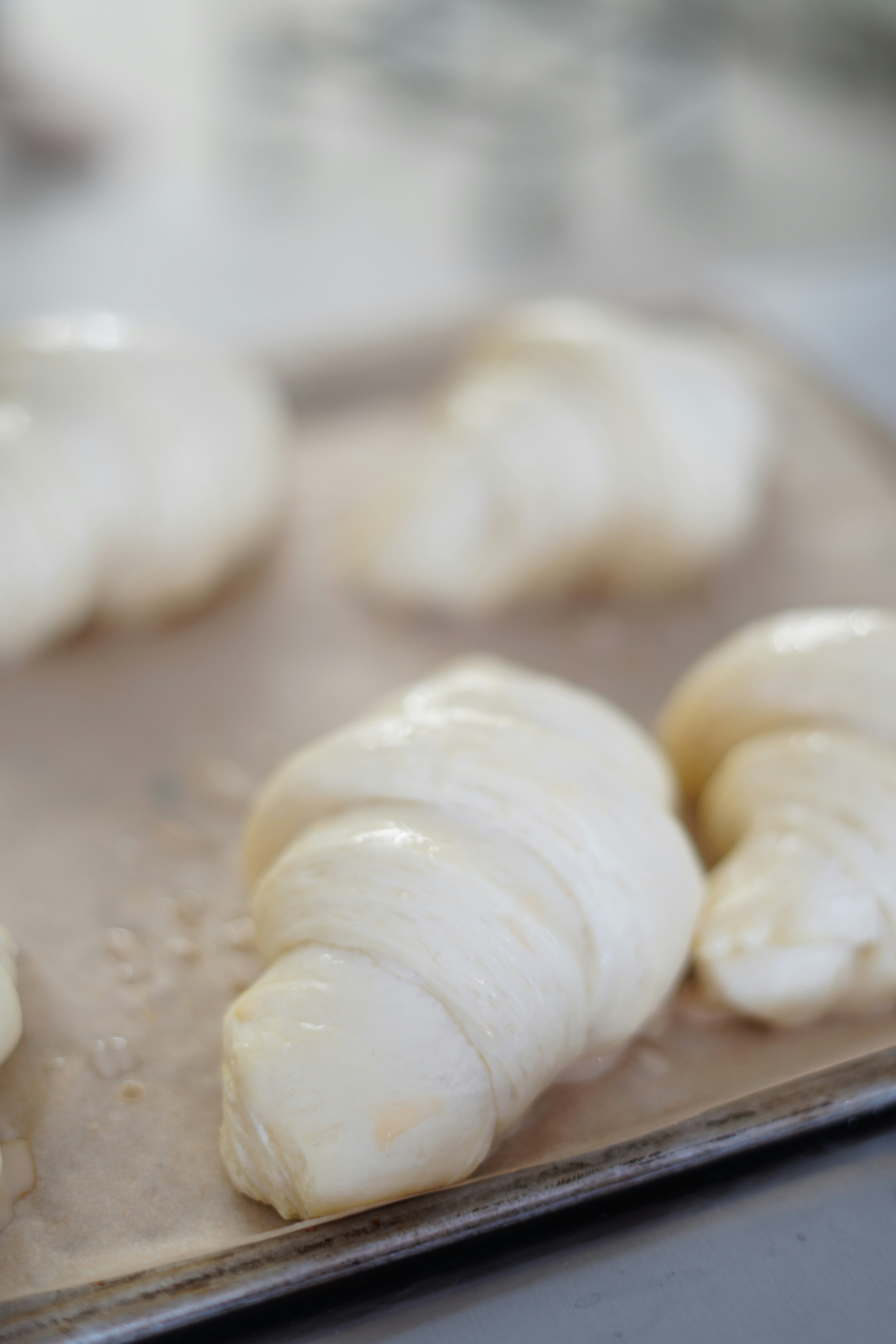 Photo by albina___white