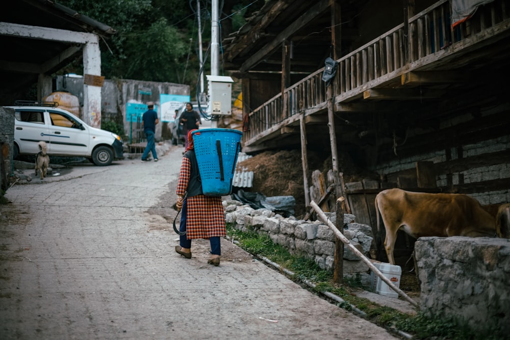 a person walking down a street with a cow