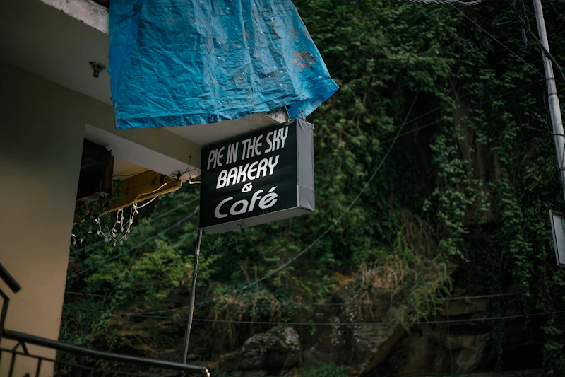 Cafes With the Fastest Wifi in Manali (Speeds Actually Tested)