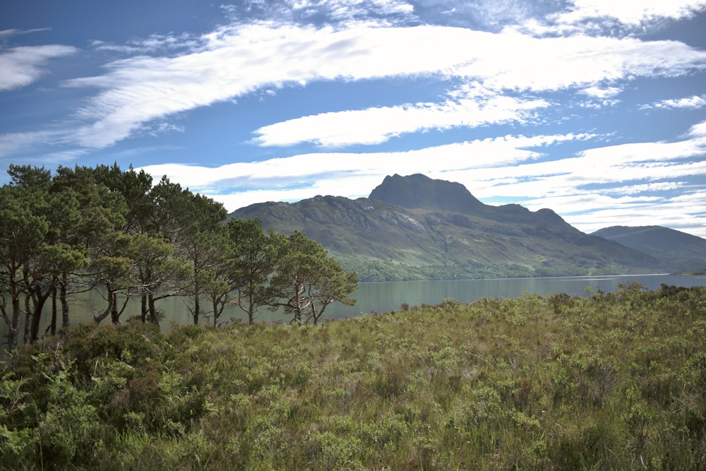 a body of water with trees and mountains in the background