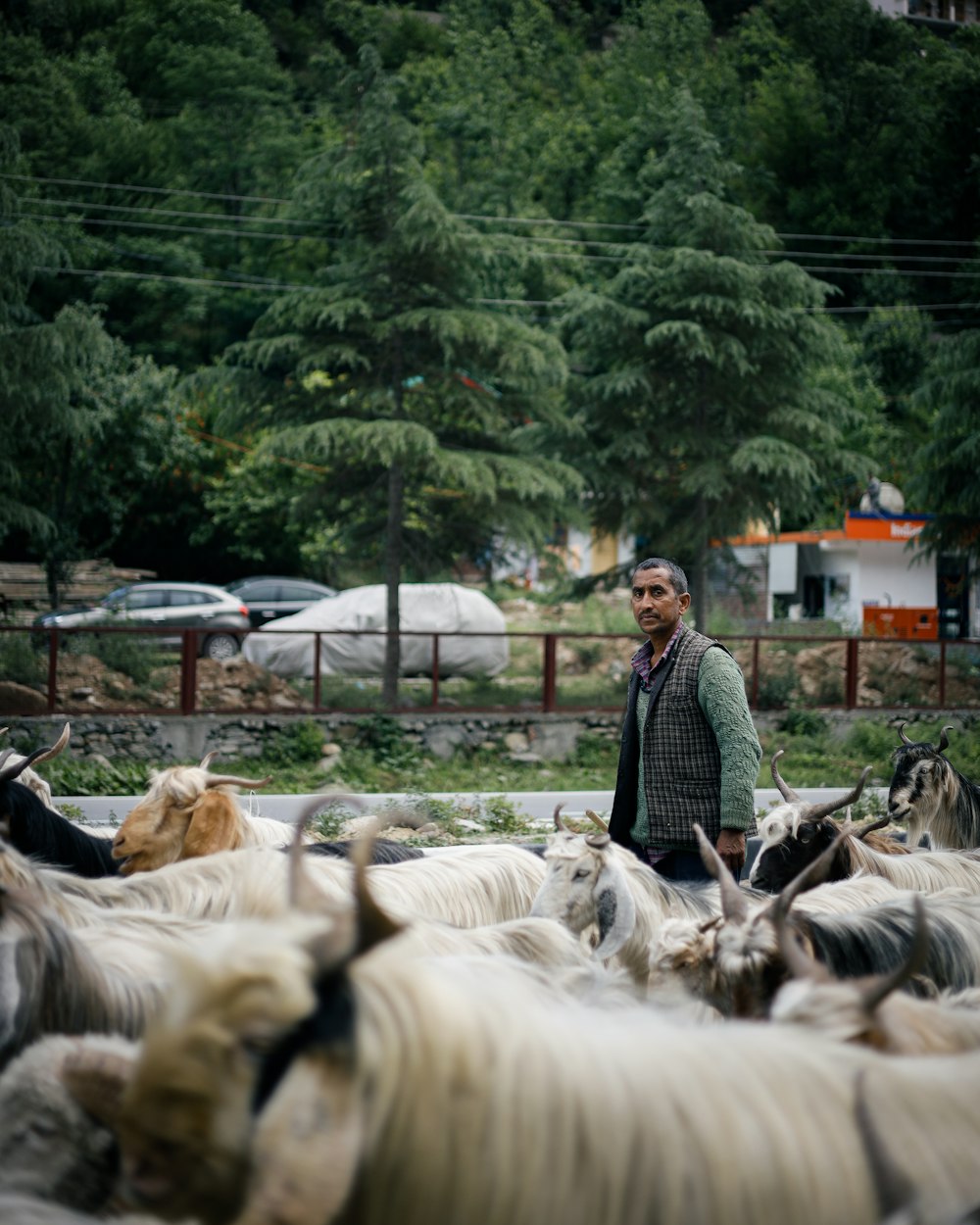 a person standing in front of a herd of horses