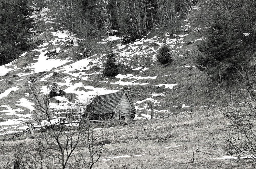 a house in a snowy landscape