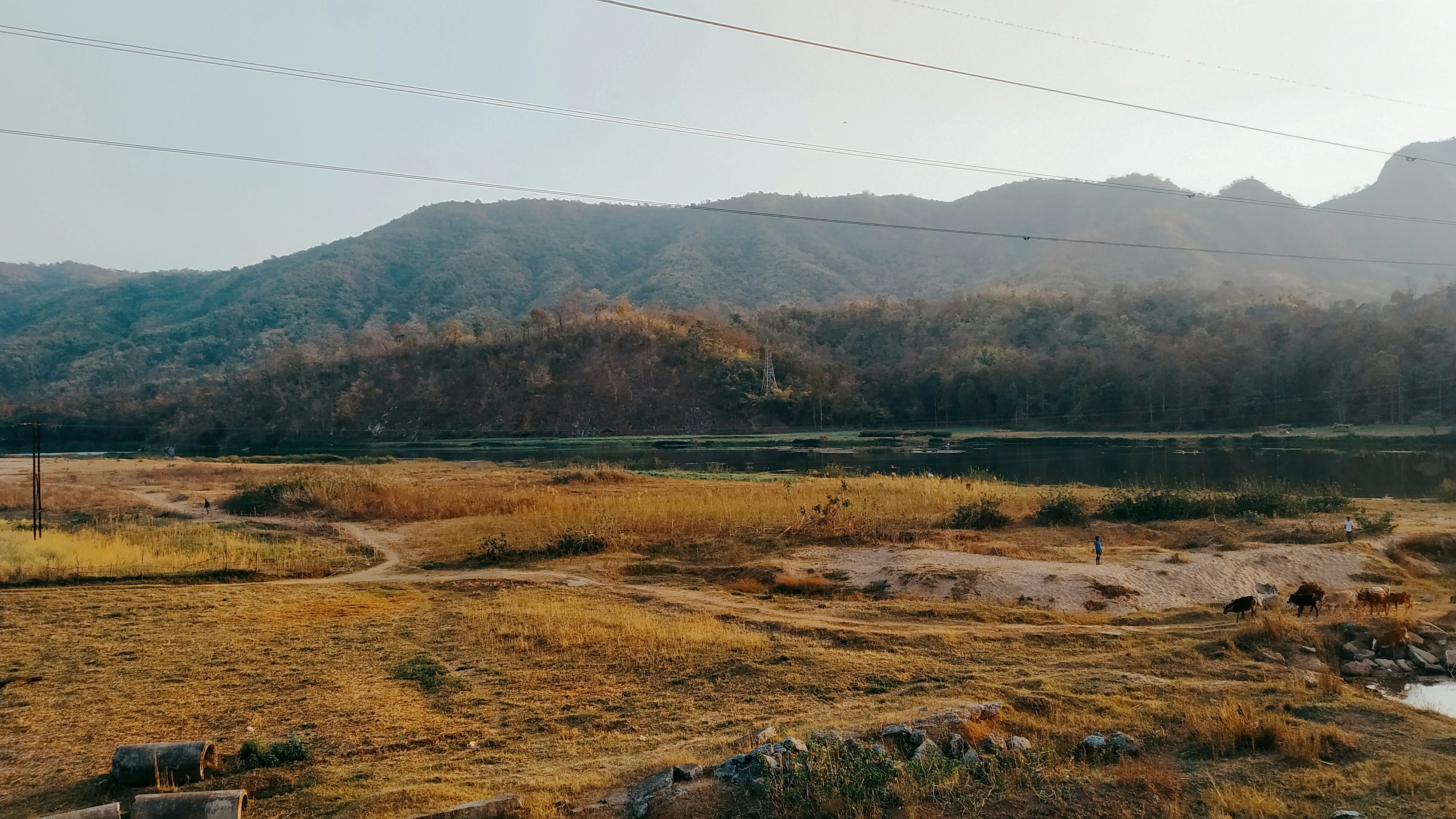 Photo by sunsetsierra