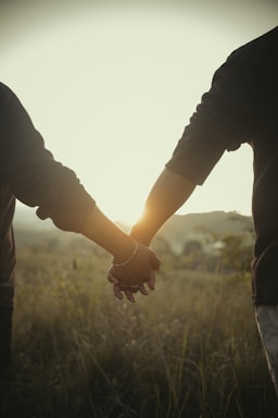 A friendly farmer shaking hands with a client in a field at sunset.
